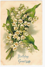 Highly Embossed Birthday Postcard dated 1908 picture