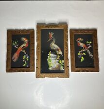 Vintage Trio of Bird Pictures 3 Colorful Feather craft Hand Carved Wood Frames picture