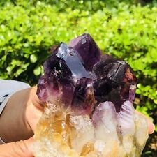 1.78LB Natural Amethyst Cluster Quartz Crystal Rare Mineral Specimen Heals 611 picture
