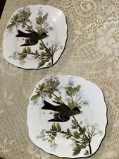 2 National Audubon Society Bird Plates 6” Eastern Wood Pewee Godinger 2010 picture