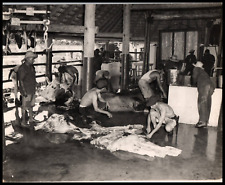 CASTILLO DEL PRINCIPE HAVANA JAIL SLAUGHTERHOUSE CUBA 1949 Photo Y 378 picture