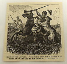 small 1878 magazine engraving ~ AFRICAN AMERICAN MAN ATTACKED BY LEOPARD picture