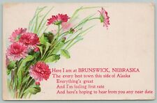 Brunswick Nebraska~Pink Wild Flowers Greetings~Best This Side of Alaska c1909 PC picture