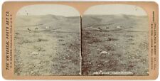ARIZONA SV - Typical Landscape - Universal Photo Art Co - 1890s picture