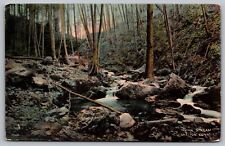 Indian Stream Shelton Connecticut Forest Cancel Norwalk Conn 1916 WOB Postcard picture
