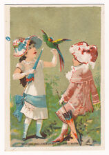 A Bird in Hand is Worth Two in the Bush - Victorian Trade Card ca.1880's picture