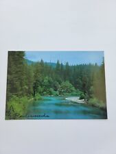Redwood Forest Postcard  - NEW picture