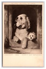 Dignity and Impudence Painting By Sir Edwin Henry Landseer UNP DB Postcard V23 picture