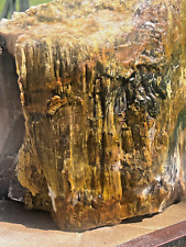 28lb petrified wood opal agate raw many colors decor rare lapidary eastern wa picture