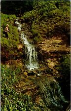 Postcard MI Alger Falls - Lake Superior - Munising, Michigan picture