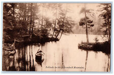 c1940's Boat Canoeing Solitude in the Adirondacks New York NY Vintage Postcard picture