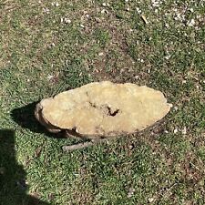 18+ Pound Geode Crystals White , fossils,minerals,intact Jewelry Lapidary picture