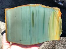 rawk11: 1.45LB Rare Owyhee Jackpot Jasper thick slab-Banded Blue-Greens-Oregon picture
