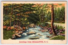 1949 GREETINGS FROM SHALLOTTE NORTH CAROLINA NC VINTAGE LINEN POSTCARD picture