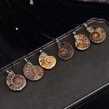 10Pcs Natural Conch Fossil Quartz Energy Stone Crystal Healing Pendant Necklace picture