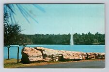 LA-Louisiana, Hodges Gardens Petrified Log Geyser Fountain Vintage Postcard picture