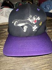 Vtge 1993 Looney Tunes Tweety & Sylvester Embroidered Black Purple Snapback Hat picture