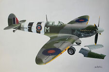 WW2 Vickers Supermarine Spitfire F IX Airplane By John Batchelor picture