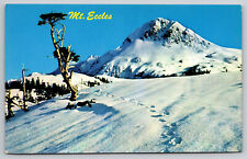 Mt Eccles Cordova Alaska AK Postcard picture