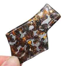 14.7g excellent SERICHO Pallasite olive meteorite slices - from Kenya QA474 picture