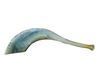 KOSHER ODORLESS NATURAL SHOFAR | Genuine Natural Rams Horn | Smooth Mouthpiece | picture