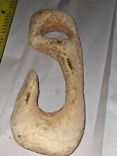 Early Big Bone fishing Hook ,Arrowheads Indian picture