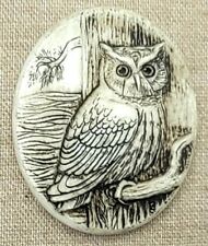 Owl Refrigerator Magnet New Birds picture