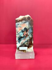 Rare mix color with picture petrified wood polished 569gr (6x3x13cm) 486 picture