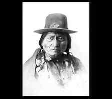 1883 Chief Sitting Bull PHOTO Portrait Lakota Indian, Battle of Little Bighorn picture