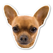 Chihuahua Magnet picture