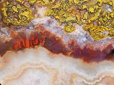 11 Lapidary Slabs, Agate Slices, Agate Slice Lot, Lapidary Materials, Agate Slab picture