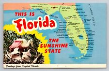 This Is Florida The Sunshine State Vintage Posted 1973 Lake Placid State Map picture