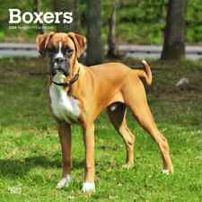 Browntrout,  Boxers International Wall 2024 Desk Calendar picture