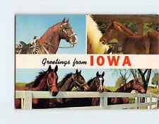 Postcard Horses Greetings from Iowa USA North America picture