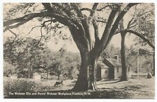 The Webster Elm and Daniel Webster Birthplace Franklin, New Hampshire Postcard picture