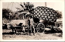 RPPC Honolulu HI Exaggeration Pineapple Water Buffalo Cart c1930-1940s IQ18 picture