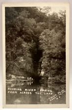 RPPC Roaring River Spring, Cassville, Missouri MO Vintage Photo Postcard picture