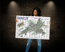 Boeing EA-18G Growler Cutaway Poster  24