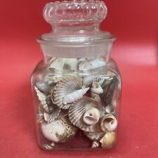 Nice lot of Sea Shells In Antique Glass lidded Jar Beautiful Ocean Décor picture