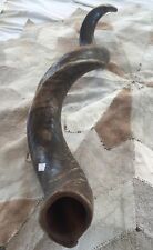 Yemenite Kudu Shofar Horn Full Natural  42-44 Inch Jumbo Size picture