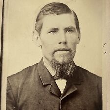 Antique Cabinet Card Photograph Handsome Young Man Wiry Goatee picture