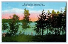 1948 Greetings From Wautoma Wisconsin WI View One Sees Through Trees Postcard picture