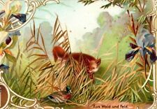 LIEBIG Trade Card Set S-627 From Field And Forest German Fox Flora Fauna picture