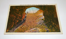 Mammoth Cave Kentucky KY Postcard picture