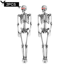 2x 5.5ft Halloween Life Size Skeleton with LED Eyes Creepy Sound Halloween Decor picture