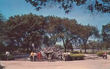 Vilas Park Monkey Island in Madison, WI 1955 posted vintage postcard picture