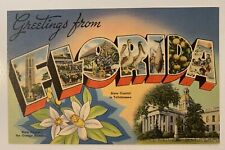 greetings from florida vintage linen postcard picture