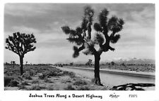 RPPC Frashers Postcard Joshua Trees Along A Desert Highway F3571 picture