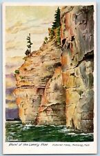 Munising Michigan MI Postcard Point Of The Lonely Pine Scenic View c1920's Trees picture