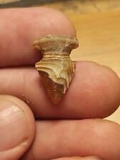 💥Authentic Arrowhead💥Native American Artifact picture